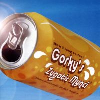 Gorky's Zygotic Mynci - How I Long To Feel That Summer In My Heart
